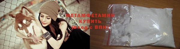 прущие грибы Белокуриха